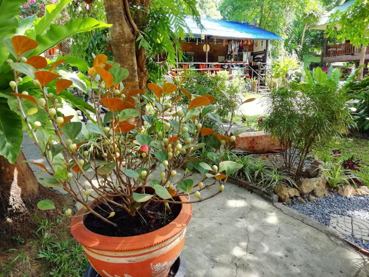 Macura Resort Koh Chang Exterior foto